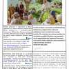 bulletin, page 5